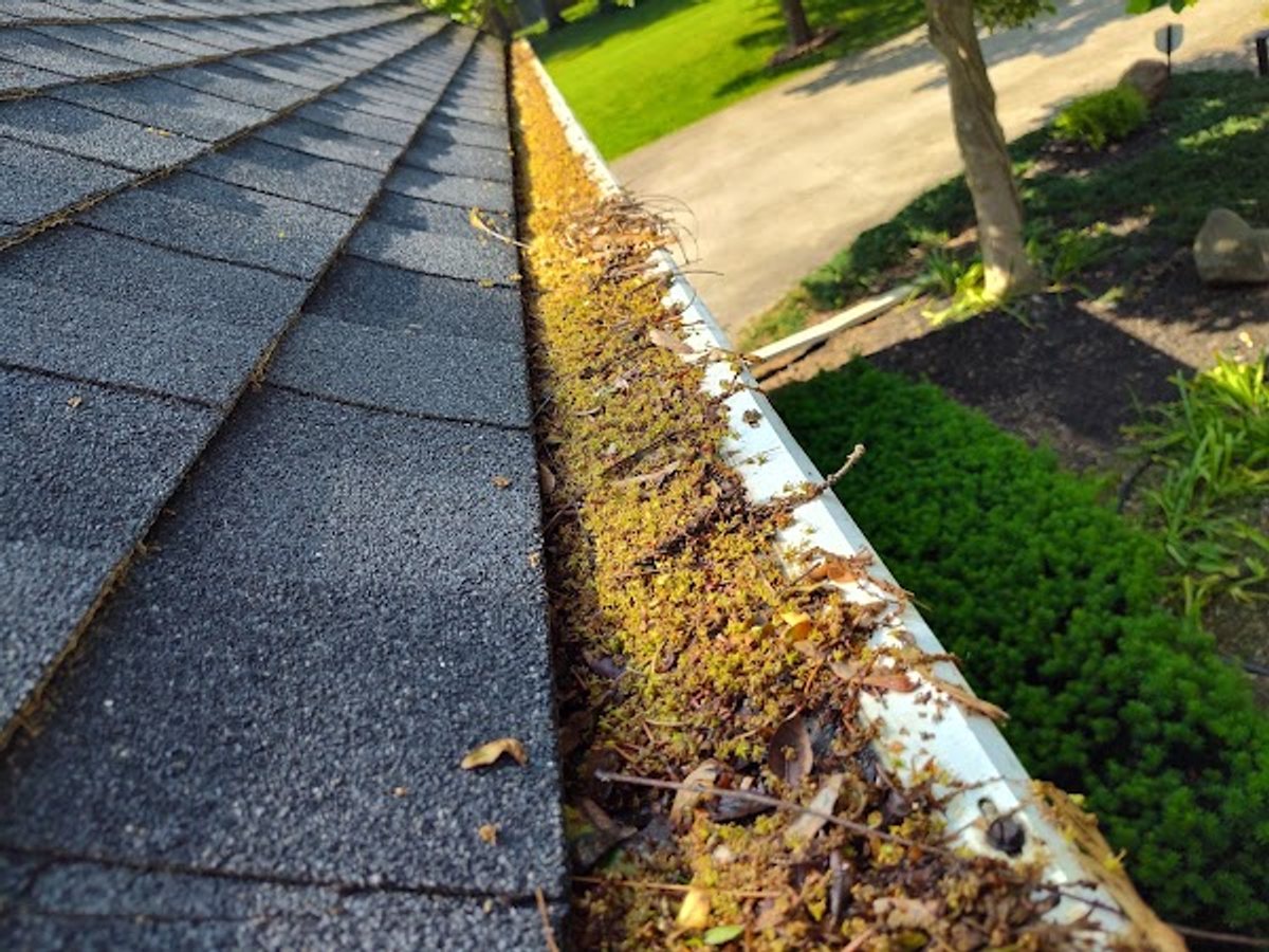 A gutter run packed with leaves, moss and debris before a Godvision Cleaning gutter clean